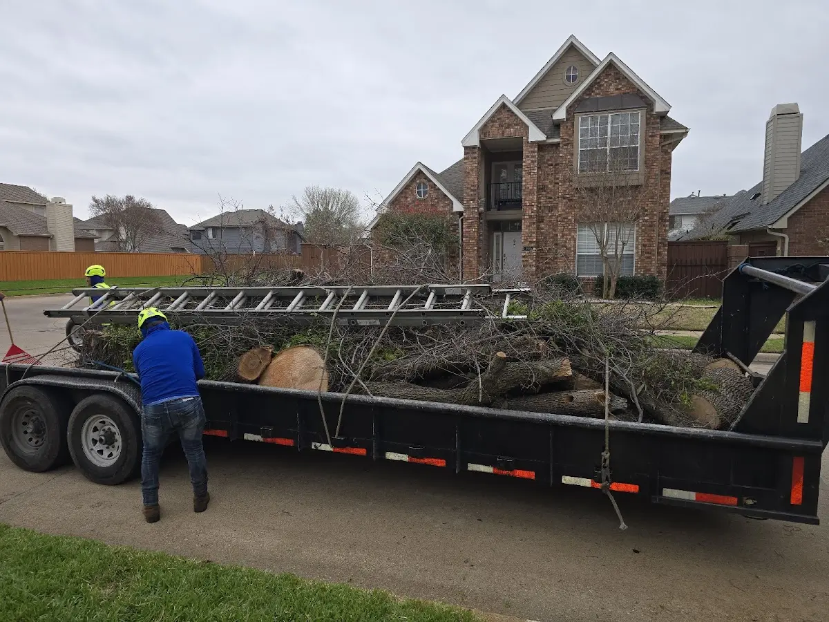 Expert Tree Removal with proper safety equipment in Weeping Water